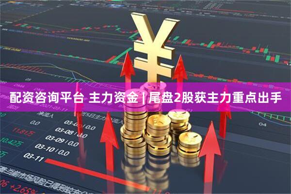 配资咨询平台 主力资金 | 尾盘2股获主力重点出手