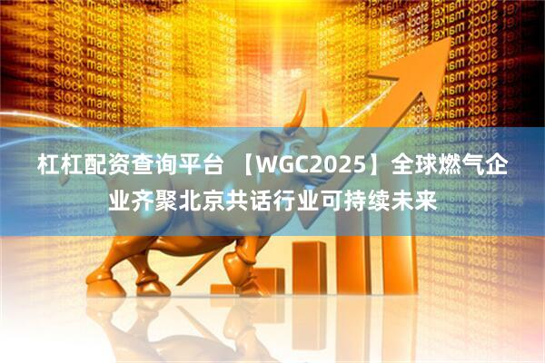 杠杠配资查询平台 【WGC2025】全球燃气企业齐聚北京共话行业可持续未来