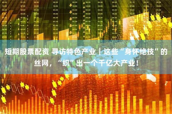 短期股票配资 寻访特色产业｜这些“身怀绝技”的丝网，“织”出一个千亿大产业！