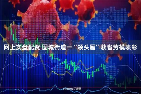 网上实盘配资 固城街道一“领头雁”获省劳模表彰